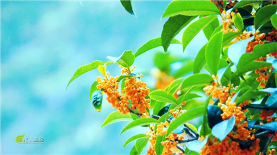 1635249520397890.jpg 微信图片_20211026193939.jpg