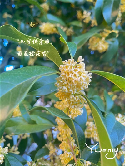 微信图片_20230210105550.jpg