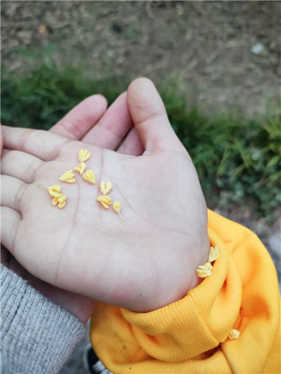 微信图片_20230210105645.jpg
